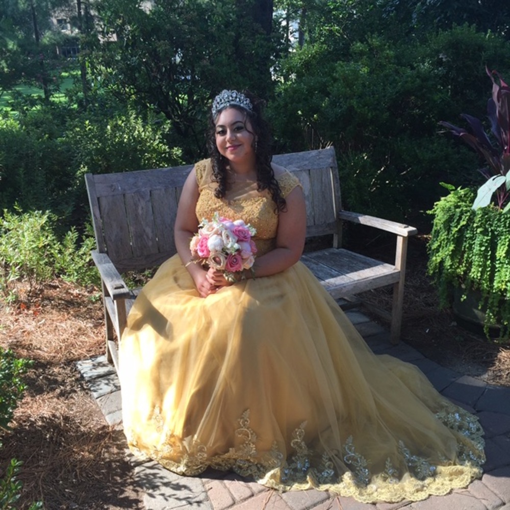 Quinceañera Dress 💃🏽
